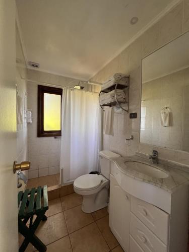 a white bathroom with a toilet and a sink at Cabaña Coihue in Pucará