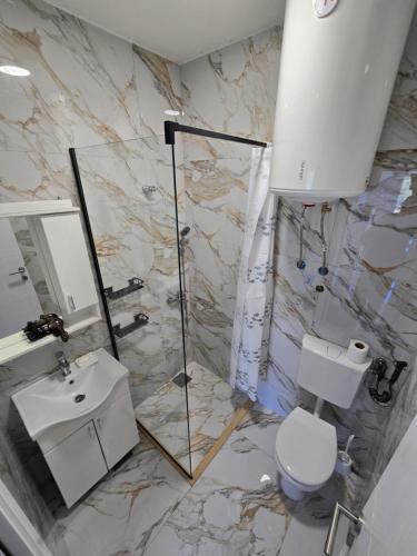 a bathroom with a toilet and a sink and a mirror at Brita Apartman in Utjeha