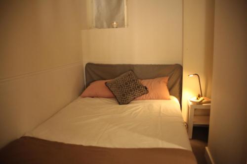 a bed with two pillows on it in a room at Lyon Standing Historic City Apartment in Lyon