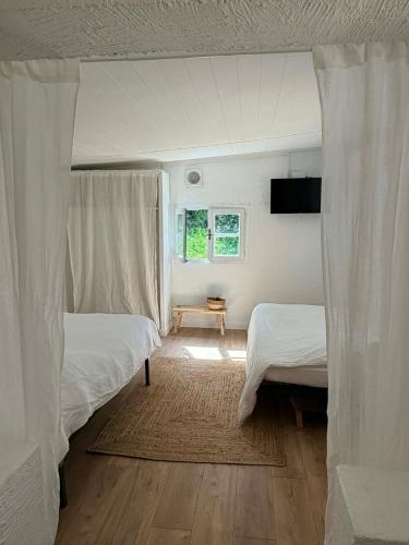 a bedroom with two beds and a window at Caseddu Corse - Maison Typique in Cauro