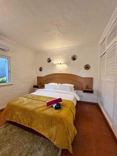 Casa Gatu Verdi-Garden Apartment with Pool