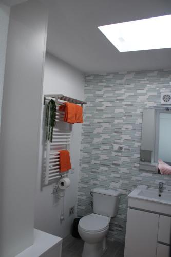 a bathroom with a toilet and a sink and a mirror at Alojamentos Céu Azul in Fernao Ferro