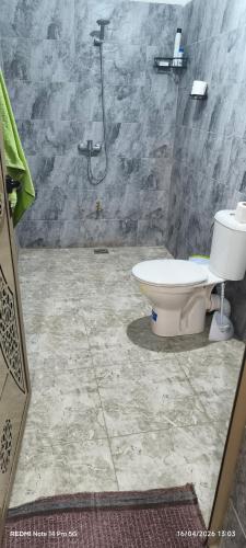 a bathroom with a shower and a toilet at Tata hausse in Tatta