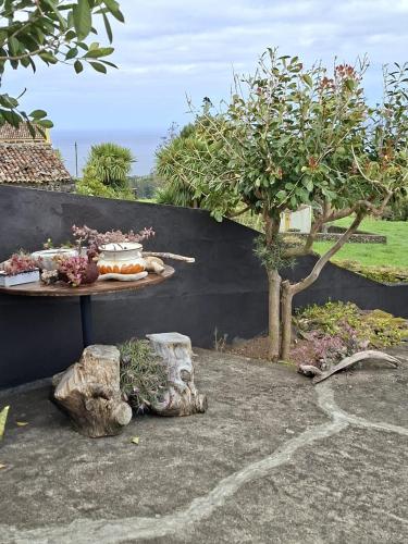 a table with a cake on it next to a tree at Home Near the Clouds - Refúgio in Nordeste