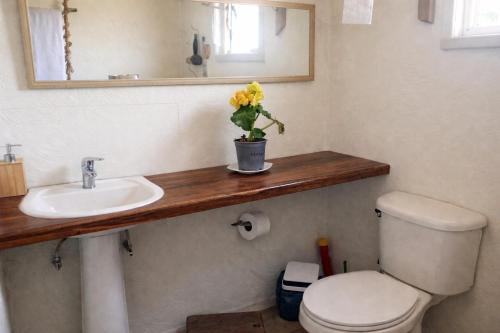 a bathroom with a sink and a toilet and a mirror at Hostal Art Gallery Chiloè in Castro