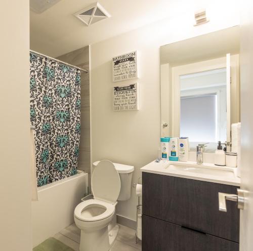a bathroom with a toilet and a sink and a mirror at Bisco Hill in Richmond Hill