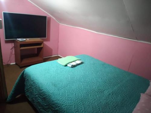 a bedroom with a green bed and a flat screen tv at Hospedaje Domiluis in Coihaique