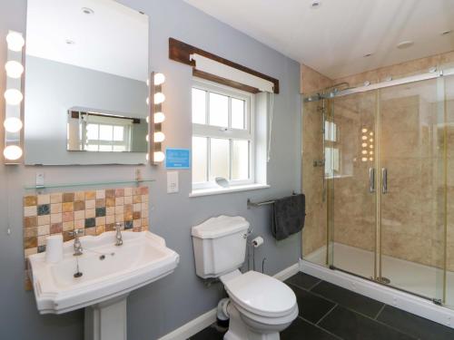 a bathroom with a toilet and a sink and a shower at Blaenffynnon Bach in Carmarthen