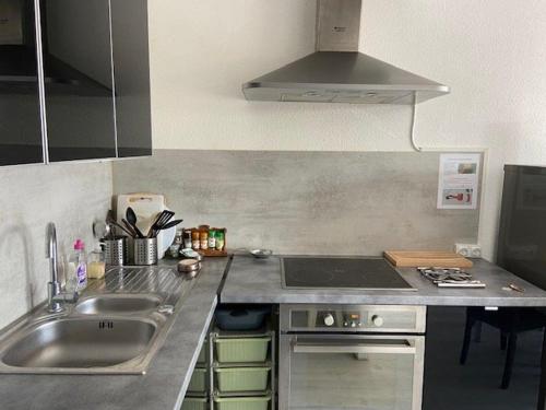 Studio climatisé en centre-ville, parking - 4 pers. - FR-1-874-15