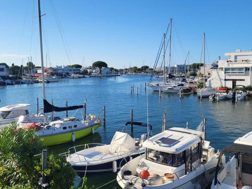 Marina rare avec clim et parking - Port Camargue - FR-1-874-33