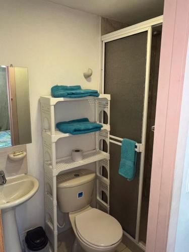 a bathroom with a toilet and a sink and a shower at JARDIN DE TEQUENDAMA HOTEl in Cali