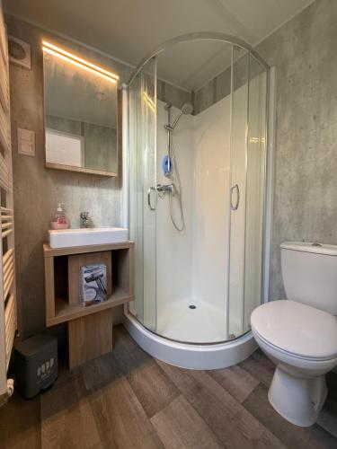 a bathroom with a shower and a toilet and a sink at Tinyhaus Altmühlauszeit in Beilngries