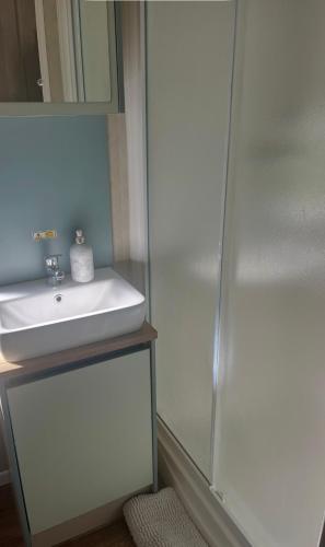 a bathroom with a white sink and a shower at Gorsehill 44 in Lytchett Minster