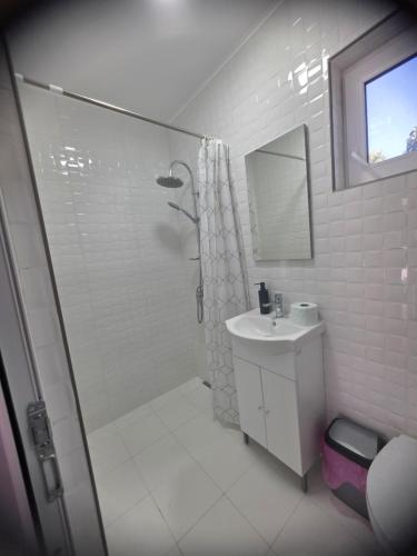 a white bathroom with a shower and a sink at Casa Matei Gabriel in 2 Mai