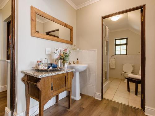 a bathroom with a sink and a mirror at Portland Manor in Knysna