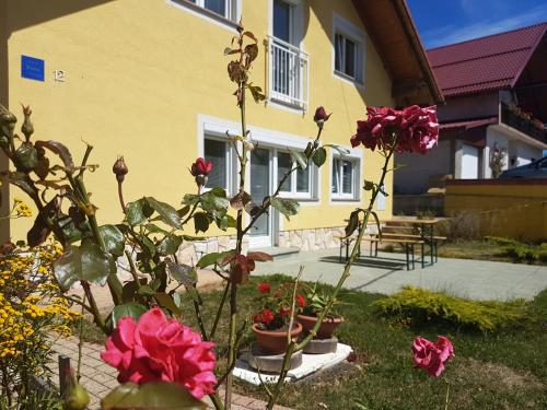 Κήπος έξω από το Apartment JULIJA 1