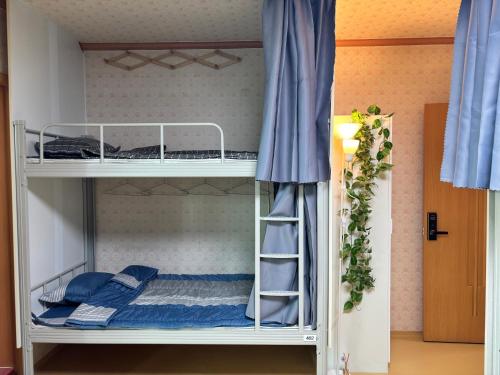 a bunk bed with blue pillows on it at 파노라마 스테이 in Paranjang