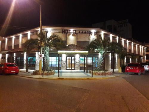 a building with palm trees in front of it at night at Hotel Teomar in Villa Gesell