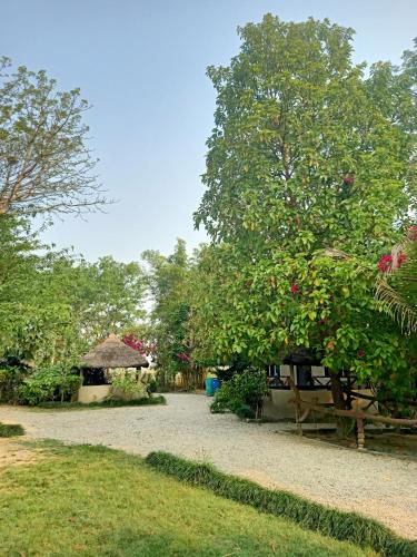 a garden with a house and a tree with roses at Narayani View Resort in Bharatpur