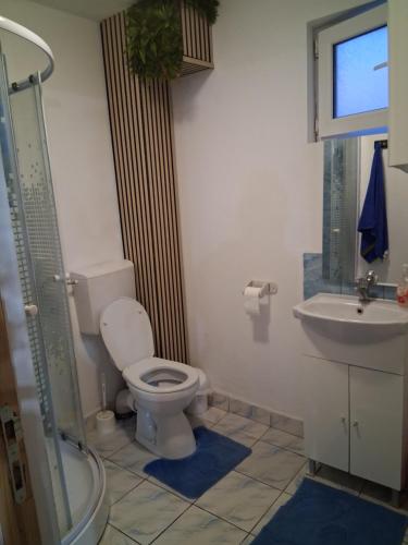 a bathroom with a toilet and a sink at Cabana Vanatorului in Centru