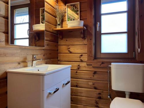 a bathroom with a toilet and a sink and a mirror at Ferienhaus Neckar 43 in Hayingen