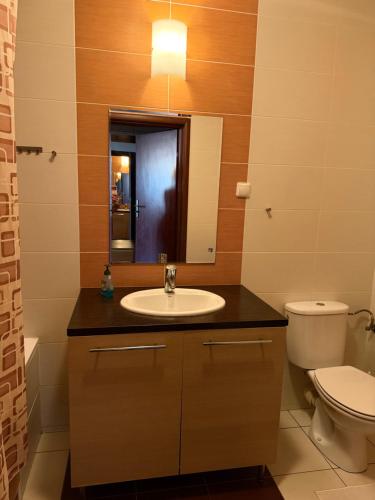 a bathroom with a sink and a toilet at Łucka 15 Sweet Home in Warsaw