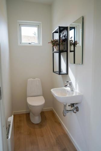 a bathroom with a toilet and a sink and a mirror at Feriehusene Hedensted Centret - Sport, natur og velvære in Hedensted - Midtjylland