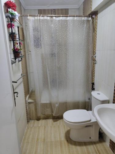 a bathroom with a toilet and a shower and a sink at luxurious direct seaview apartment in Alexandria