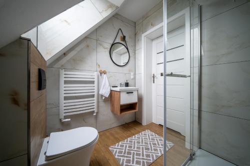 a bathroom with a toilet and a sink and a mirror at Szczyt i Sosna in Krauszów