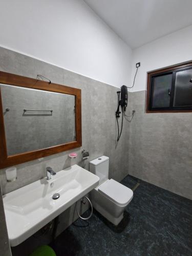 a bathroom with a sink and a toilet and a mirror at OASIS Victoria Lounge! in Kandy