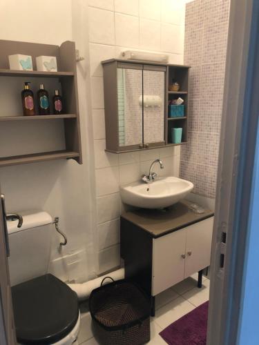 a bathroom with a sink and a toilet at Studio tout équipé, emplacement idéal in Saint-Raphaël