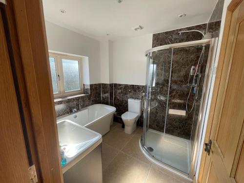 a bathroom with a shower and a sink and a toilet at Stocks Lane Cottage in Welshampton