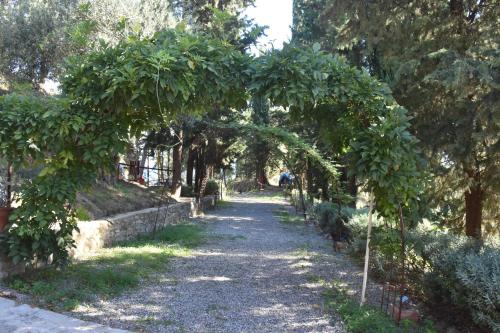 a garden with an arch of fruit trees at Azienda Agrituristica Biologica Il Querceto in Santa Severina