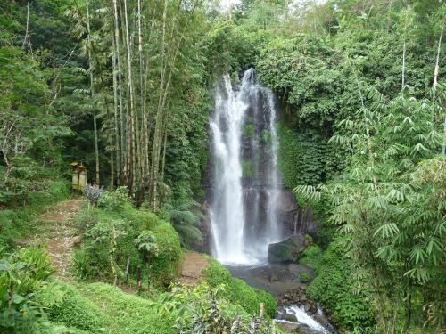 a waterfall in the middle of a forest at Yoga Homestay in Munduk