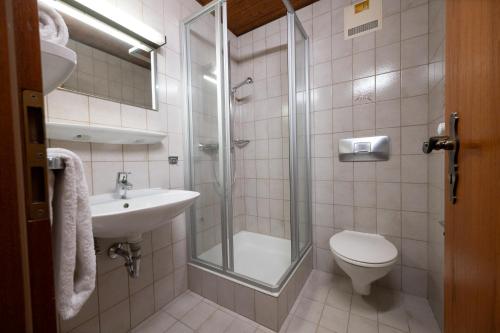 a bathroom with a shower and a toilet and a sink at Gästehaus Willanzheim in Willanzheim