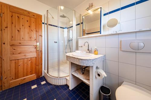 a bathroom with a sink and a shower and a toilet at Alte Büdnerei 1 Abeking-Haus in Althagen