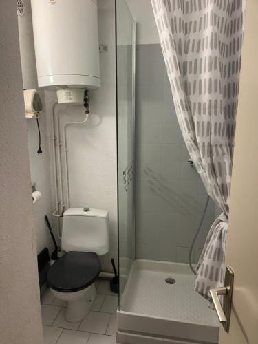 ein Badezimmer mit Toilette und Duschabtrennung aus Glas in der Unterkunft studio cabine mer PLN in Port-la-Nouvelle