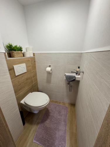 a small bathroom with a toilet and a purple rug at Chalupa Nella II. in Velké Karlovice