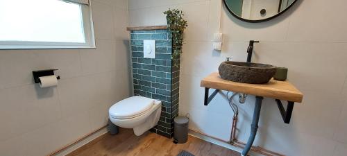 ein Badezimmer mit Toilette und Waschbecken in der Unterkunft Der Gimpel in Harzgerode