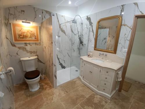 a bathroom with a toilet and a sink and a shower at Les Volets Verts-Dordogne in Plazac