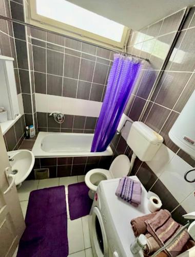 a bathroom with a purple shower curtain and a toilet at Centar S in Pirot