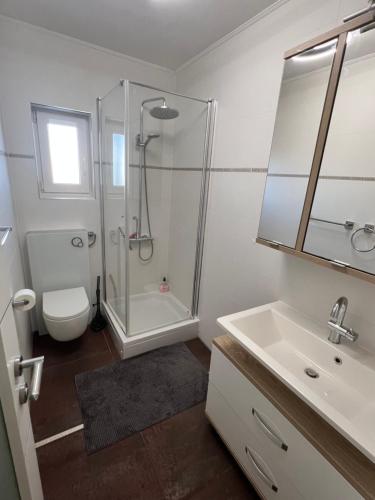 a bathroom with a shower and a toilet and a sink at Villa Birk in Barbat na Rabu