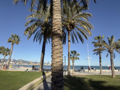 Apartamento moderno cerca de la playa! photo 102