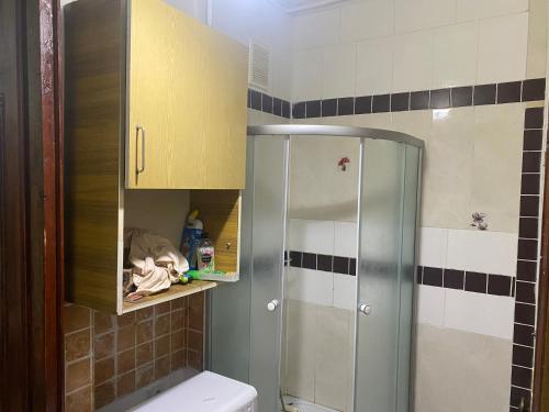 a bathroom with a shower and a toilet at На Еврейской in Odesa