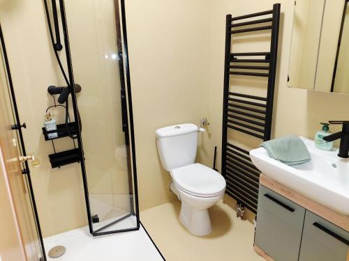 a bathroom with a toilet and a shower and a sink at Mein Wein Apartment in Krems an der Donau