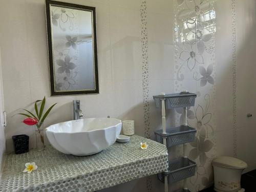a bathroom with a large white bowl sink on a counter at Skipper Dan Bungalow in La Gaulette