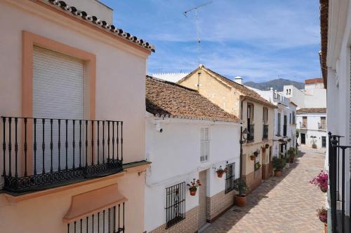 Noctua 019 Old Town 4