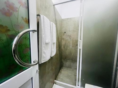 a bathroom with a shower with a glass door at Emerald Leaf Kandy Villa in Panabokka