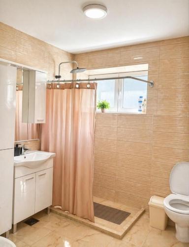 a bathroom with a shower and a toilet and a sink at Stan na dan ,, Vidovdan ,, in Nevesinje