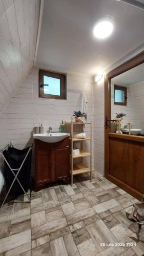 a bathroom with a sink and a mirror at Poienița Lupului in Vărbilău